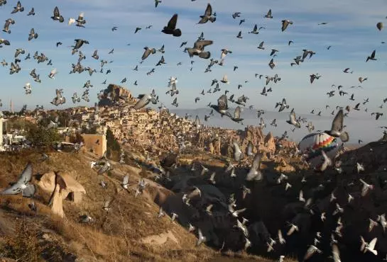 בית מלון כפרי Cappadocia House