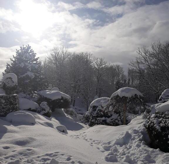 בית מלון כפרי Dworek Nad Regą