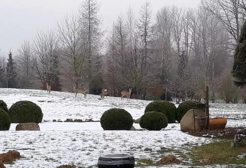 호텔 Dworek Nad Regą