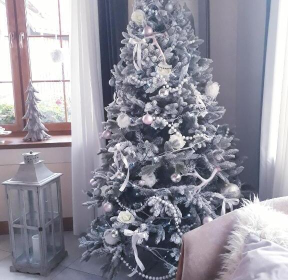 בית מלון כפרי Dworek Nad Regą