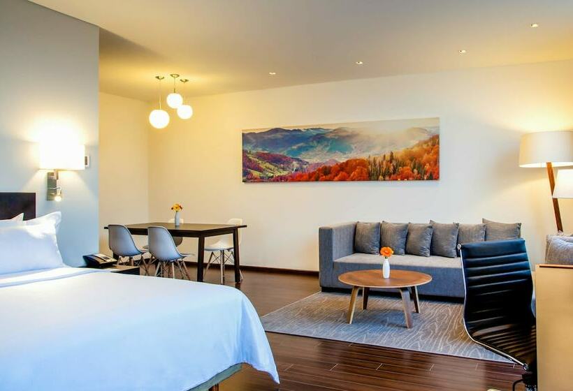 ホテル Fiesta Inn Plaza Central Aeropuerto