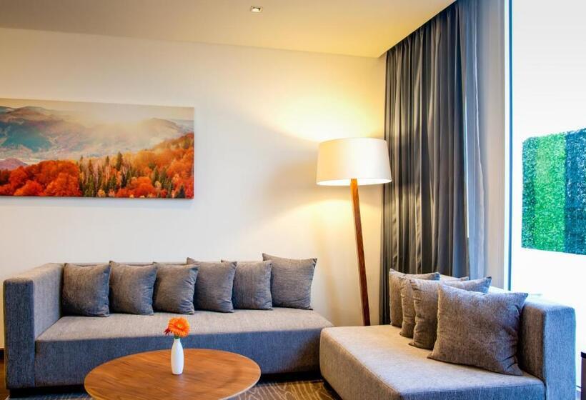 ホテル Fiesta Inn Plaza Central Aeropuerto