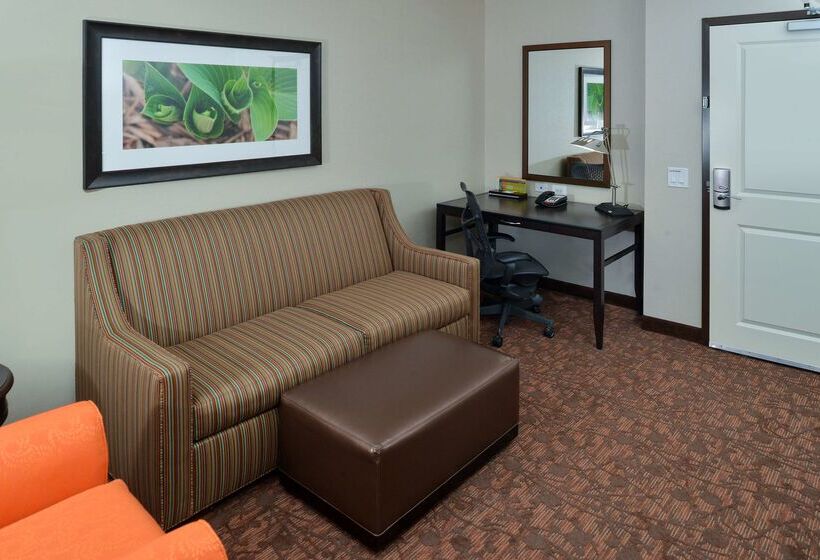 فندق Hilton Garden Inn Cincinnati/west Chester