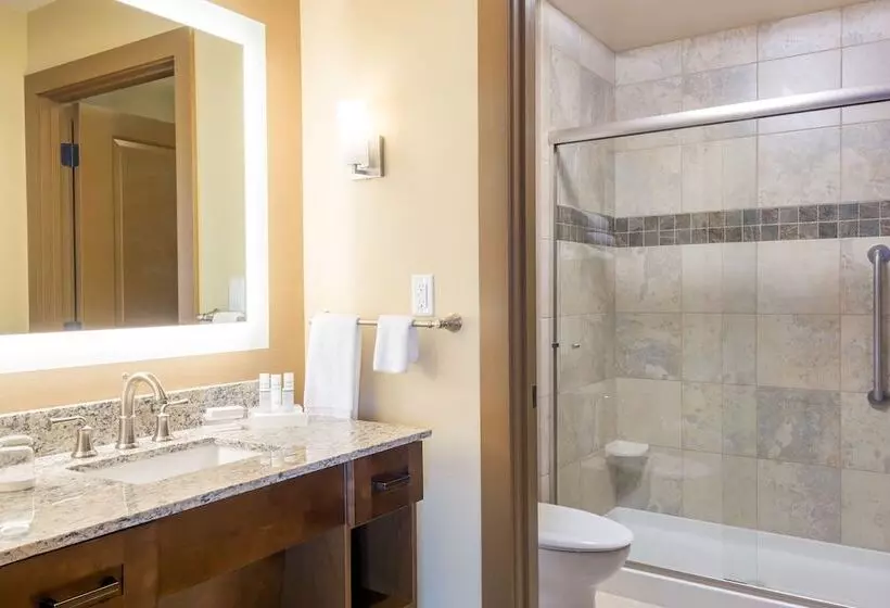 Hotel Homewood Suites By Hilton Billings, Mt