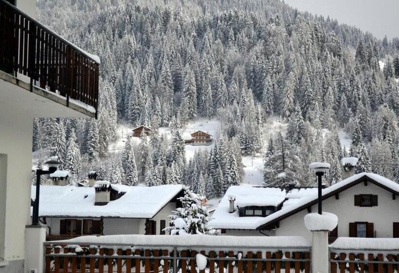 בית מלון כפרי Pineta