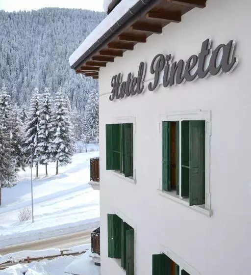 בית מלון כפרי Pineta