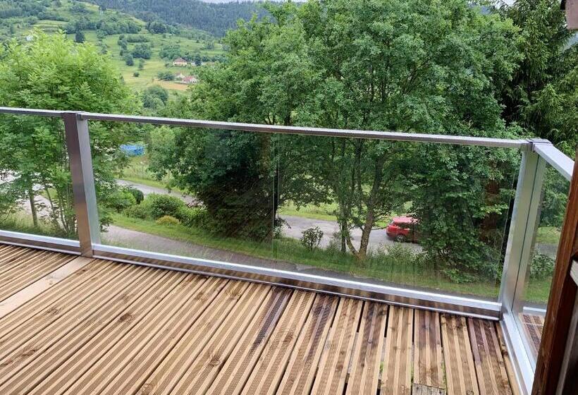 Chalet Chaleureux A Basse Sur Le Rupt Vue Montagne Superbe