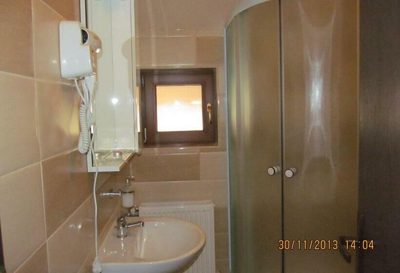 ペンション Casa Rosca Busteni