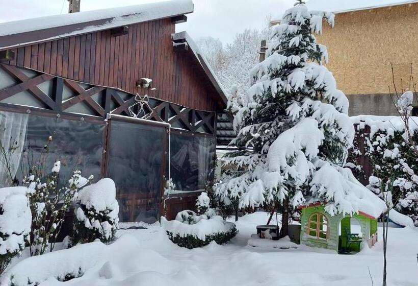 ペンション Casa Rosca Busteni