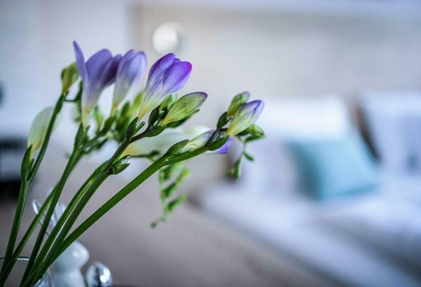 פנסיון Rácz Vendégház