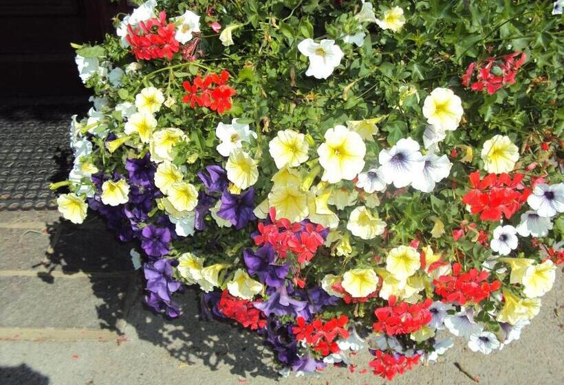 Pensionat Fürstenhof