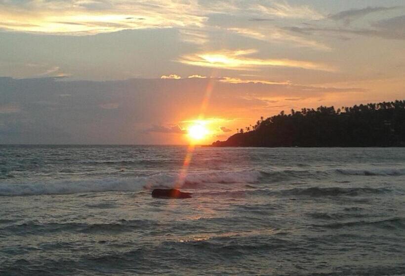 膳宿费 Mirissa Ocean Breeze