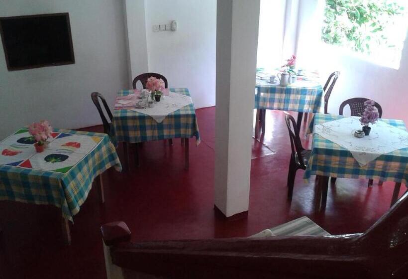 膳宿费 Mirissa Ocean Breeze