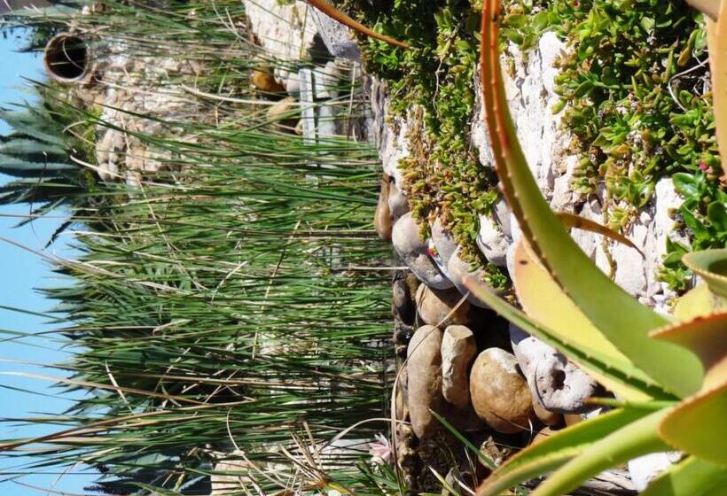 ベッドアンドブレックファースト Douar Noujoum