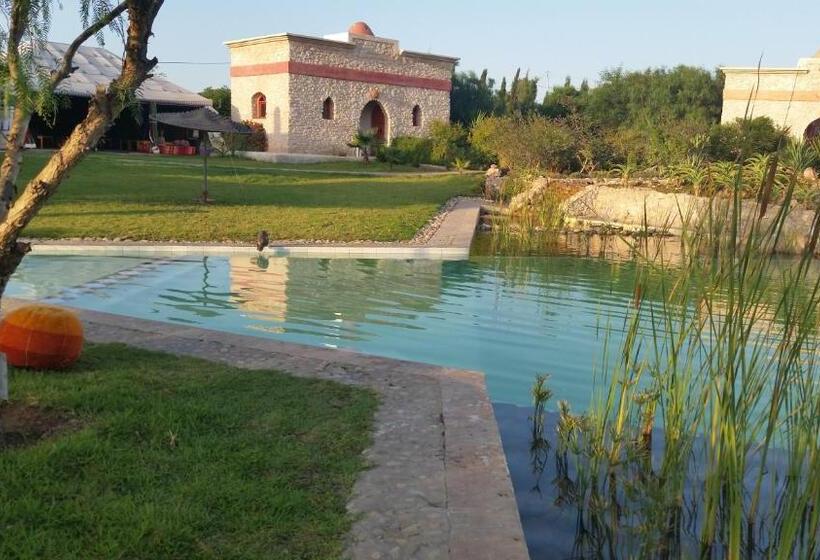 ベッドアンドブレックファースト Douar Noujoum