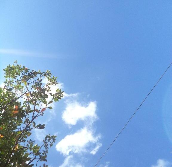 تختخواب و صبحانه Lily Bank Cottage