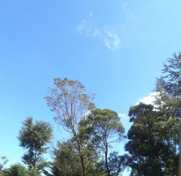 تختخواب و صبحانه Lily Bank Cottage