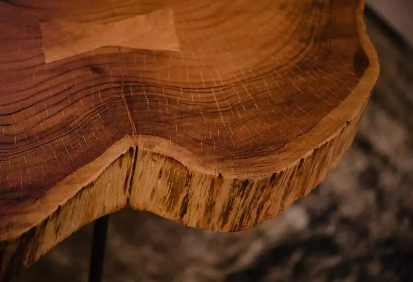 Studio Le Court Toit