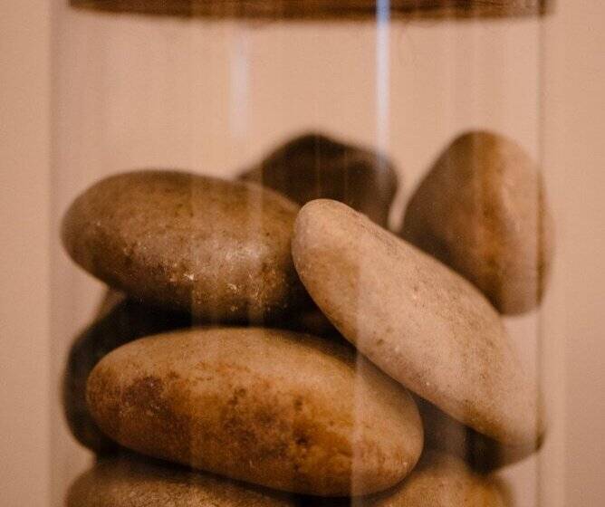 Studio Le Court Toit