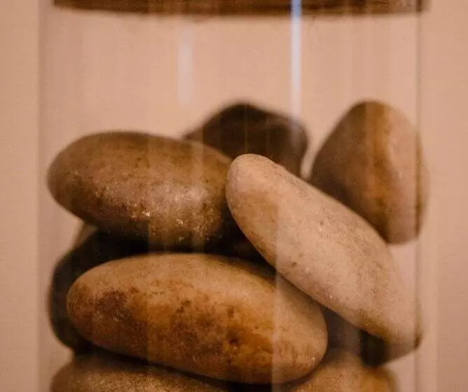 Studio Le Court Toit