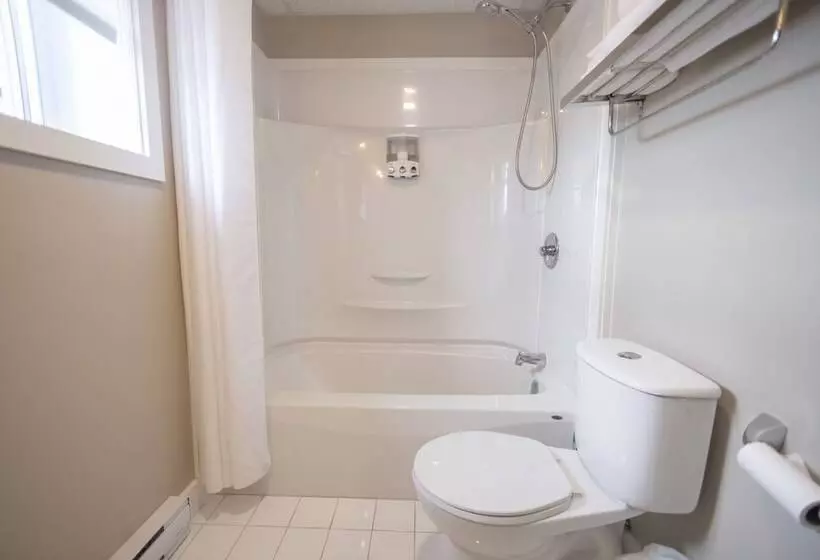 Studio Le Court Toit