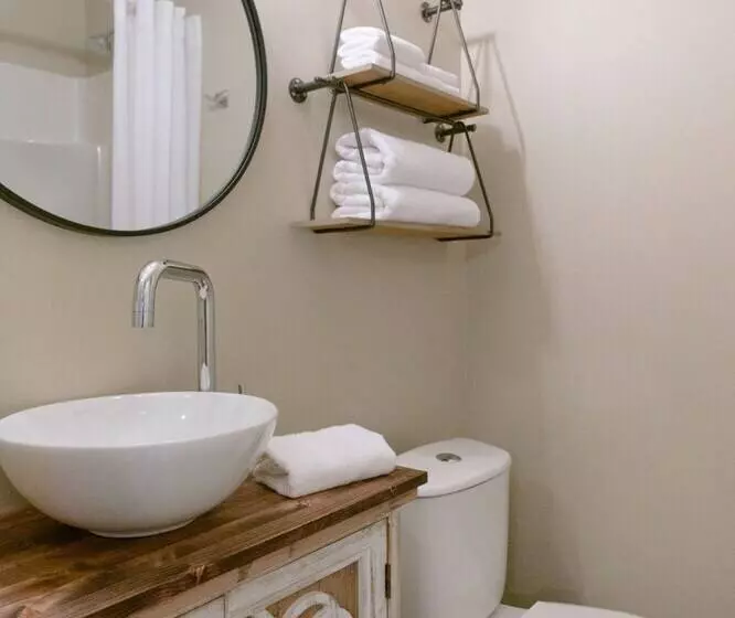 Studio Le Court Toit