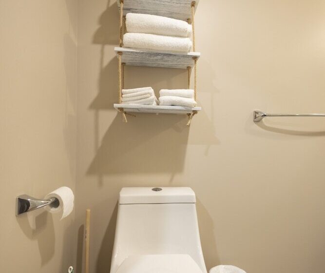 Studio Le Court Toit