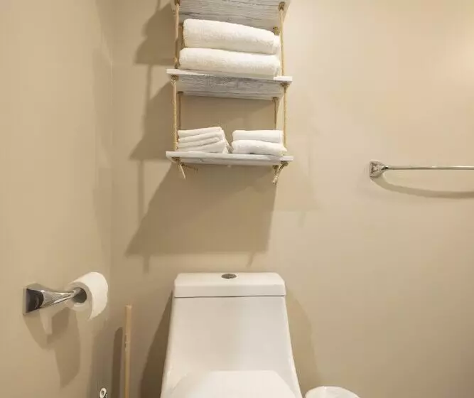 Studio Le Court Toit