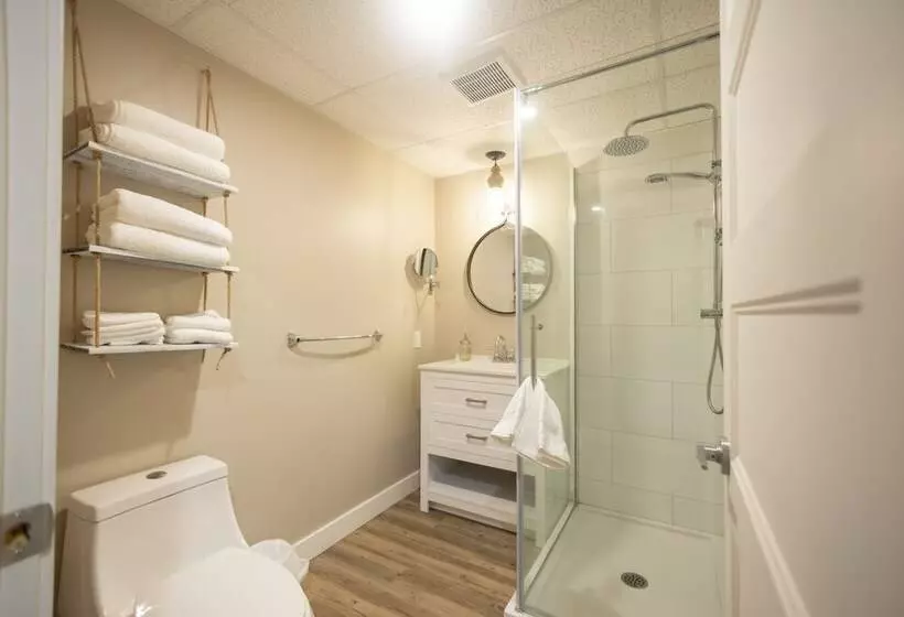 Studio Le Court Toit