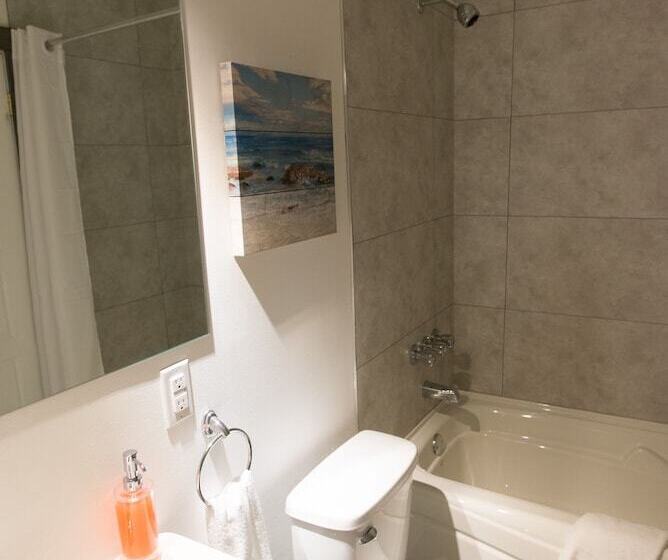 Studio Le Court Toit