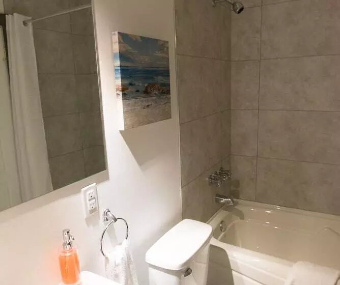 Studio Le Court Toit