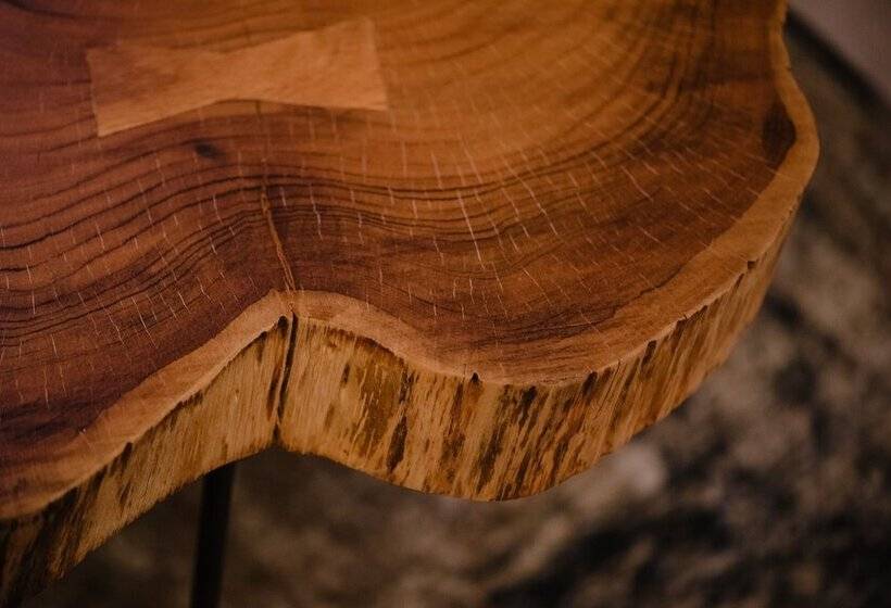 Studio Le Court Toit