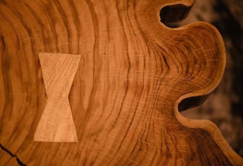 Studio Le Court Toit