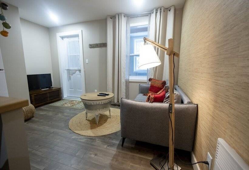 Studio Le Court Toit