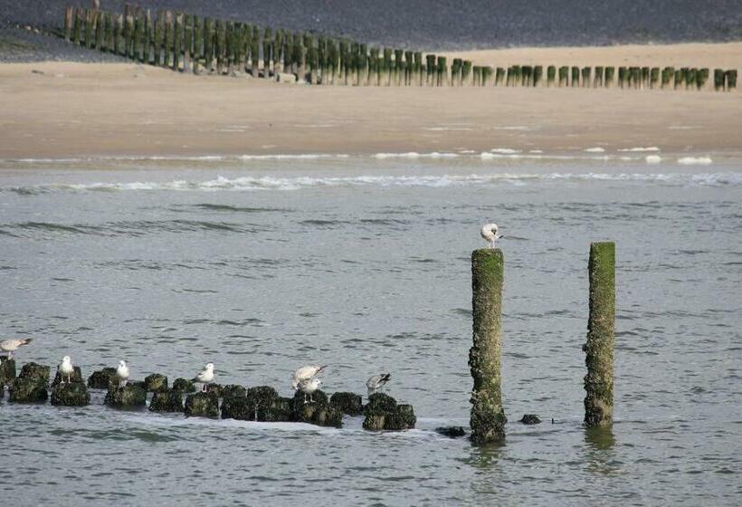 2b Nieuwe Vakantie Woning Met Terras