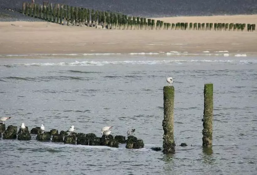 2b Nieuwe Vakantie Woning Met Terras