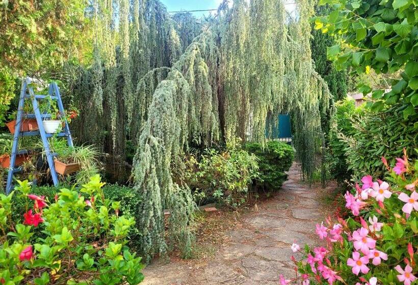 Rdc De Villa De 35 M2   400 M Plage