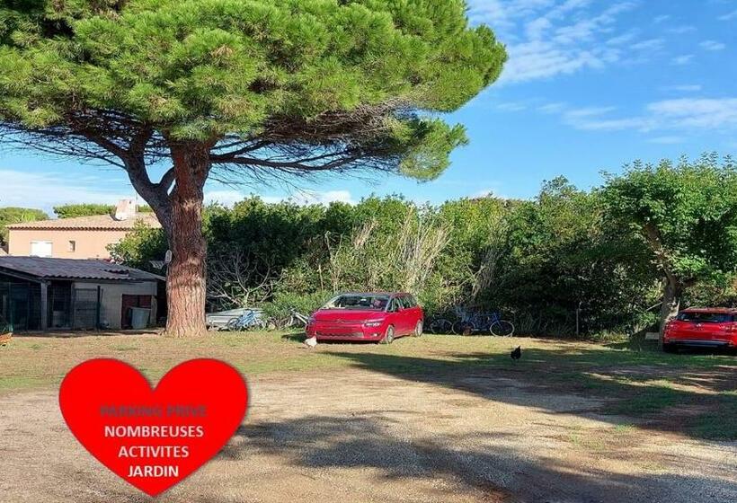 Rdc De Villa De 35 M2   400 M Plage