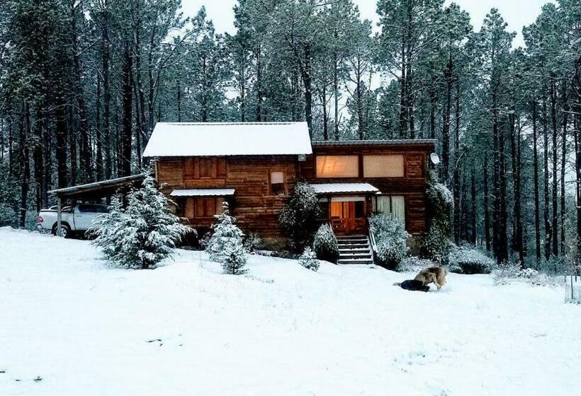 La Linda Cabaña De Montaña