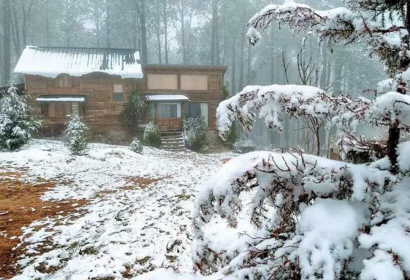 La Linda   Cabaña De Montaña