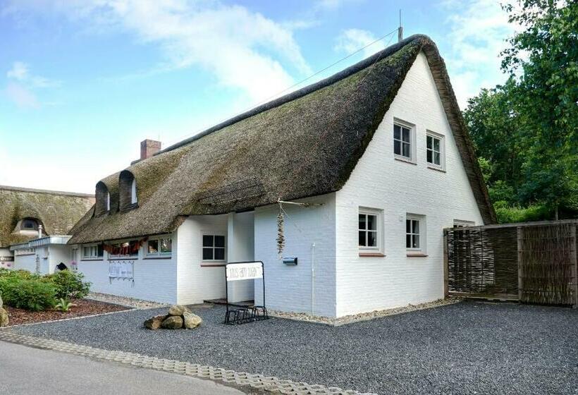 Reetdachhaus Hüs Am Wall Appartement M Hüs Am Wall