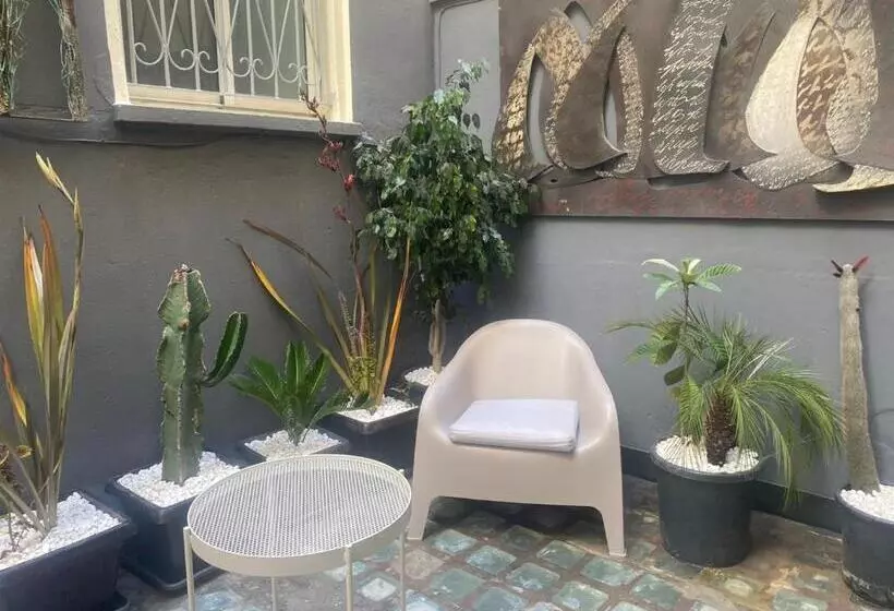 Bel Appart Cosy Plein Coeur De Tanger Vue Mer
