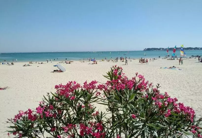 Le Capitole   Studio Plage Benoit Dans Résidence Face Mer