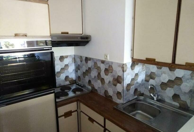 Le Capitole   Studio Plage Benoit Dans Résidence Face Mer