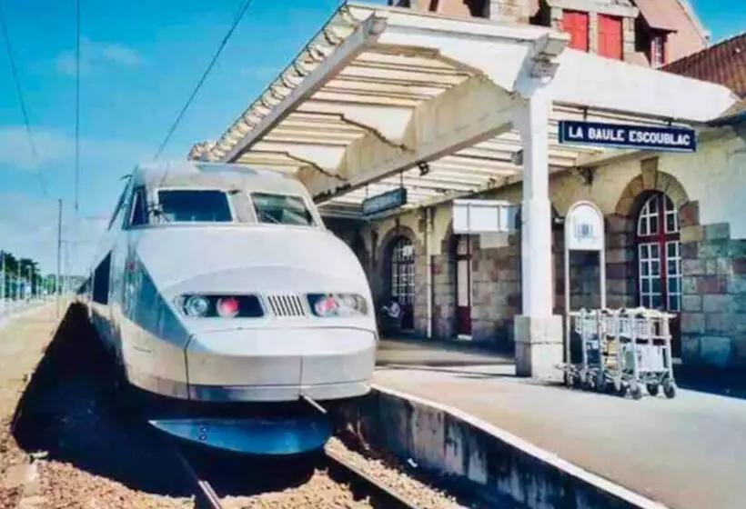 Le Capitole   Studio Plage Benoit Dans Résidence Face Mer