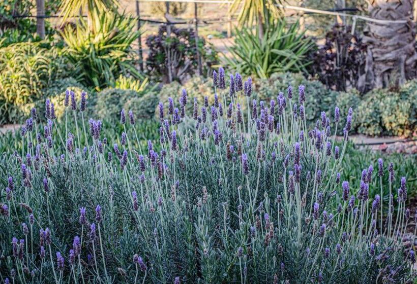 Oudtshoorn Self Catering Home