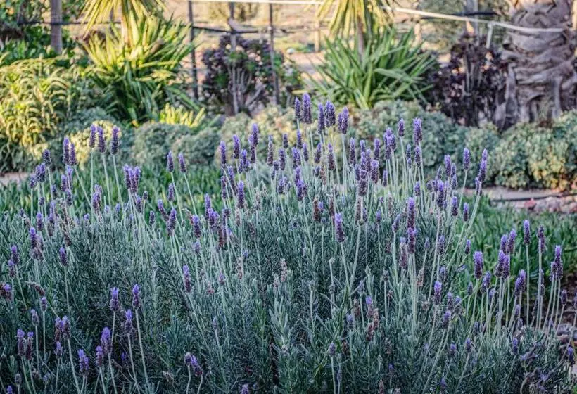 Oudtshoorn Self Catering Home