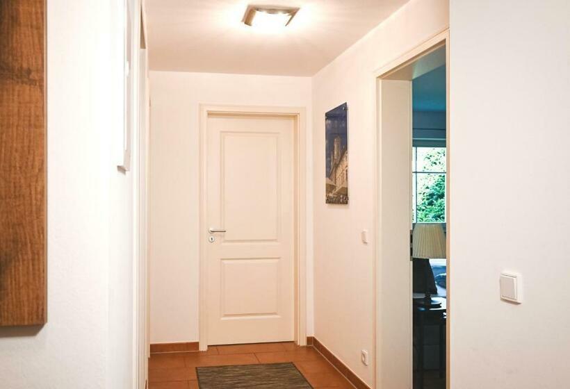 An Der Freihaushöhe