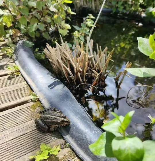 La Maison Bleue De Husseau Ancienne Ferme Semi Troglodytique 18e Siècle