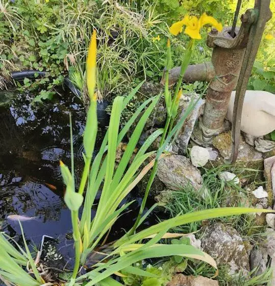 La Maison Bleue De Husseau Ancienne Ferme Semi Troglodytique 18e Siècle